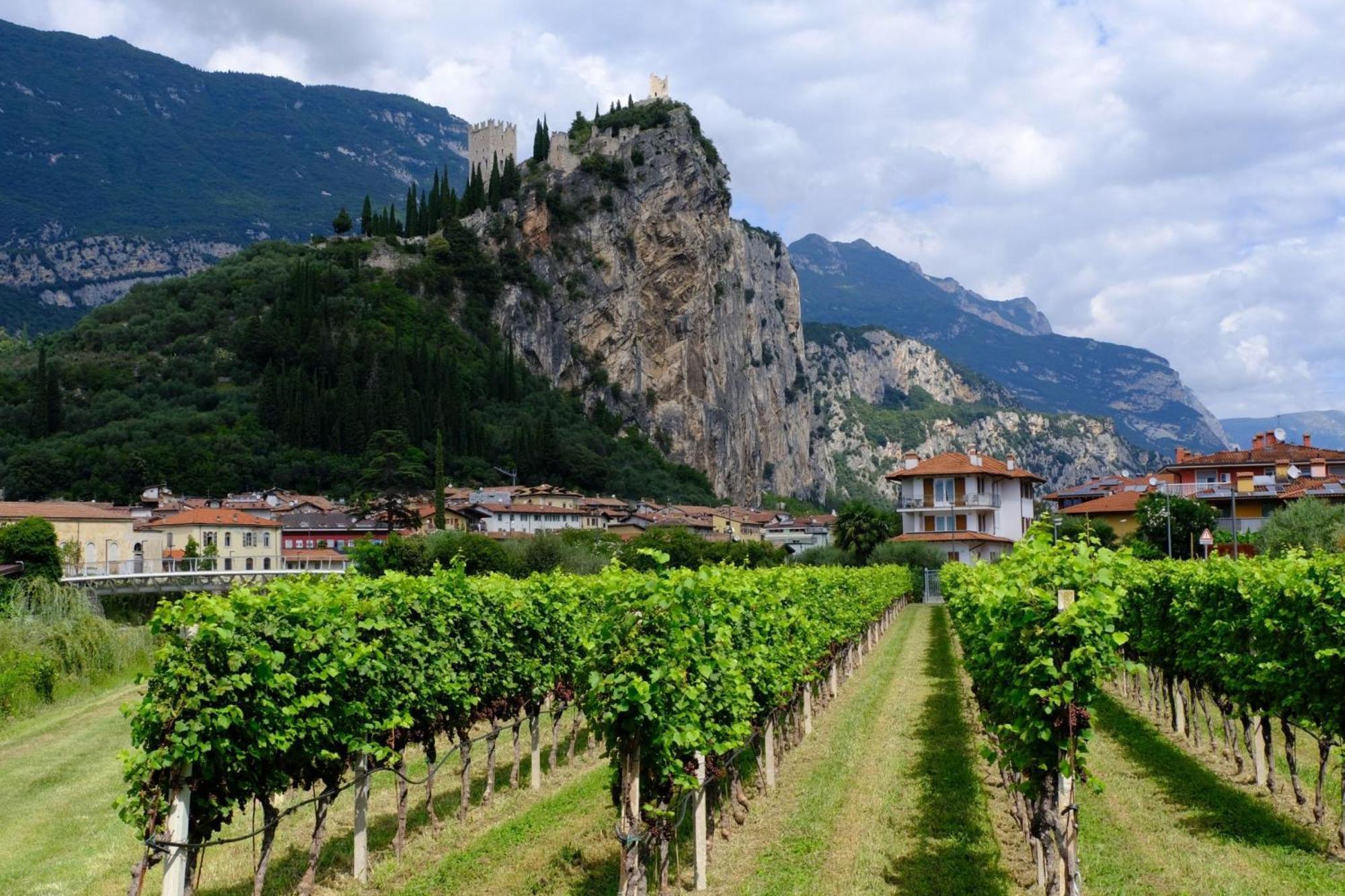 The Peace Of The Lake - Happy Rentals Torbole Sul Garda Exterior foto